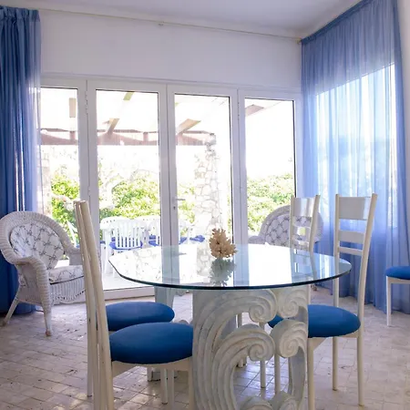 Bouganvilla * פולינאנו א מארה