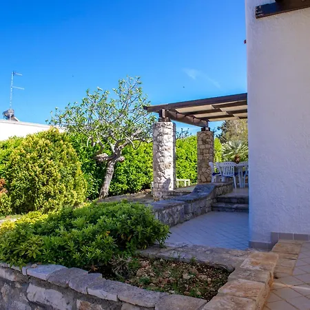 Bouganvilla * פולינאנו א מארה